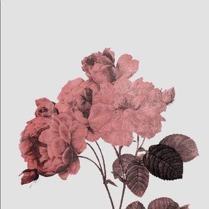 Meet your Posher, Serena